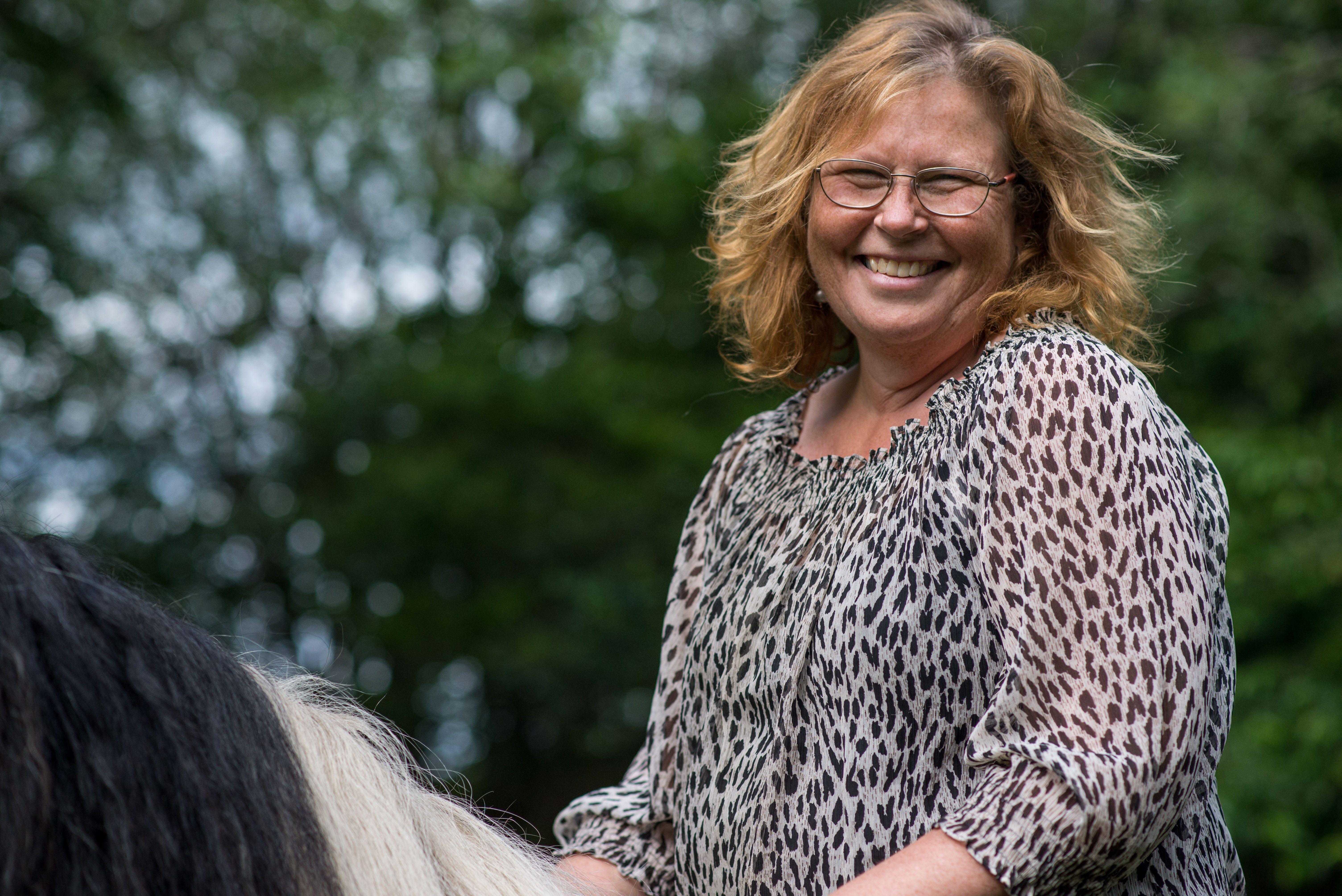 HestTilHjemmeside-90